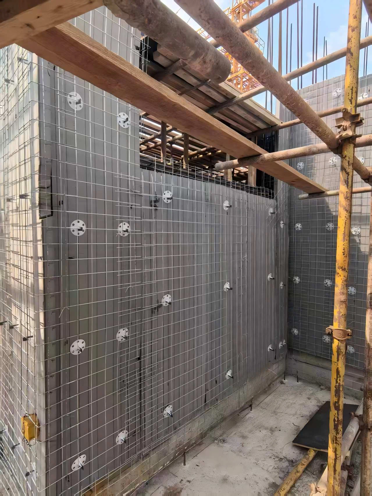 202601161643343621271 202601161643343621271