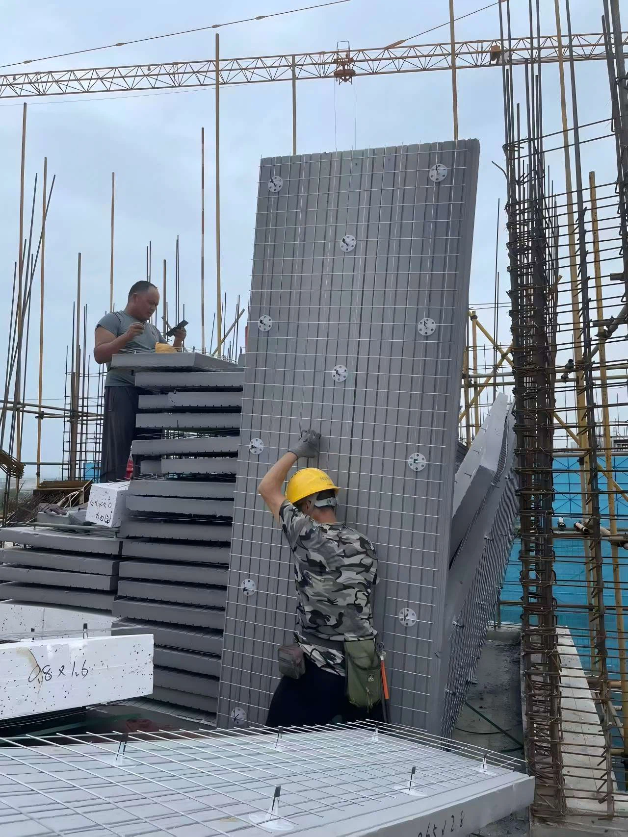 202601161643413691271 202601161643413691271